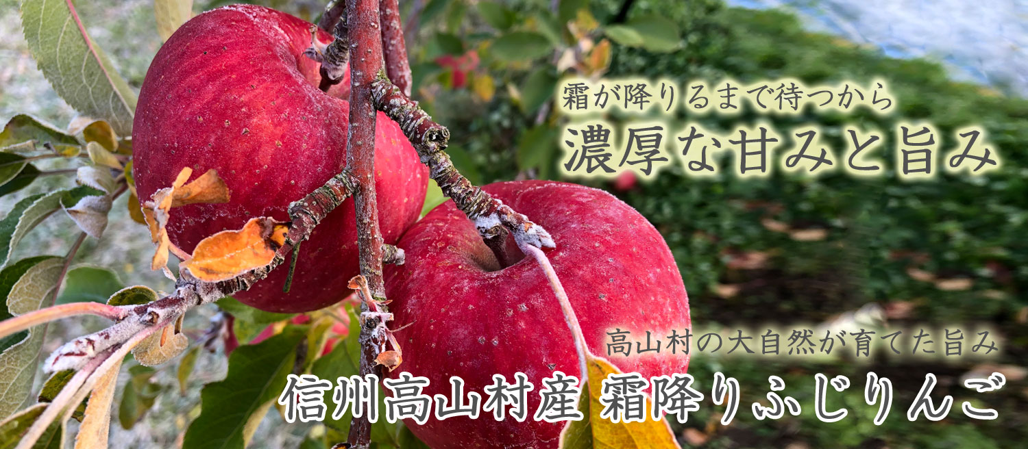 霜降りふじりんご | 信州高山村のりんごとぶどうを直売 片桐果樹園